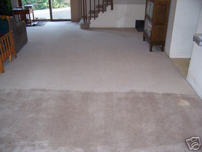 Spokane Carpet Cleaning
